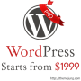 ThemeJung Pro wordpress website development